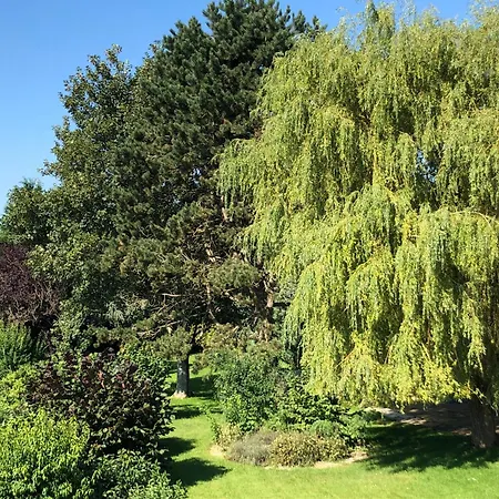 Holiday home Le Vel'eau D'heure *